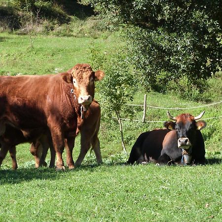 Agriturismo Giandriale Tavarone Kültér fotó