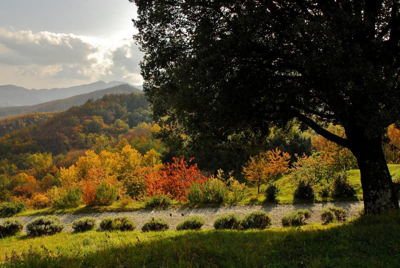 Agriturismo Giandriale Tavarone Kültér fotó
