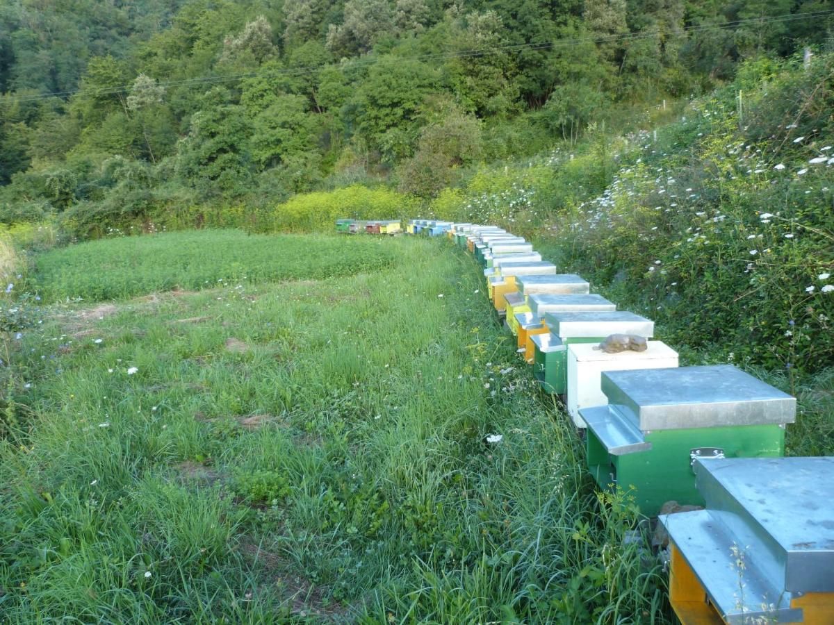 Agriturismo Giandriale Tavarone Kültér fotó