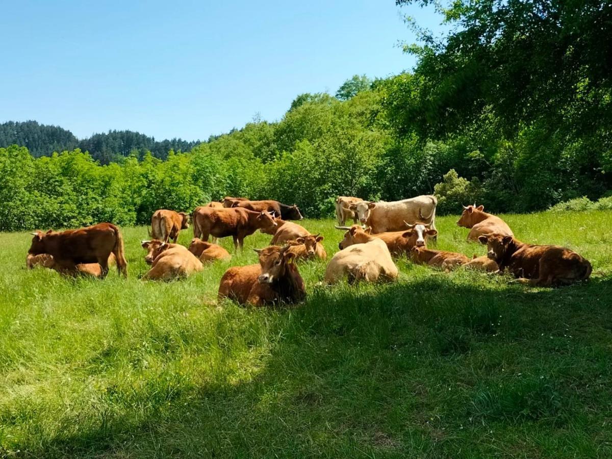Agriturismo Giandriale Tavarone Kültér fotó