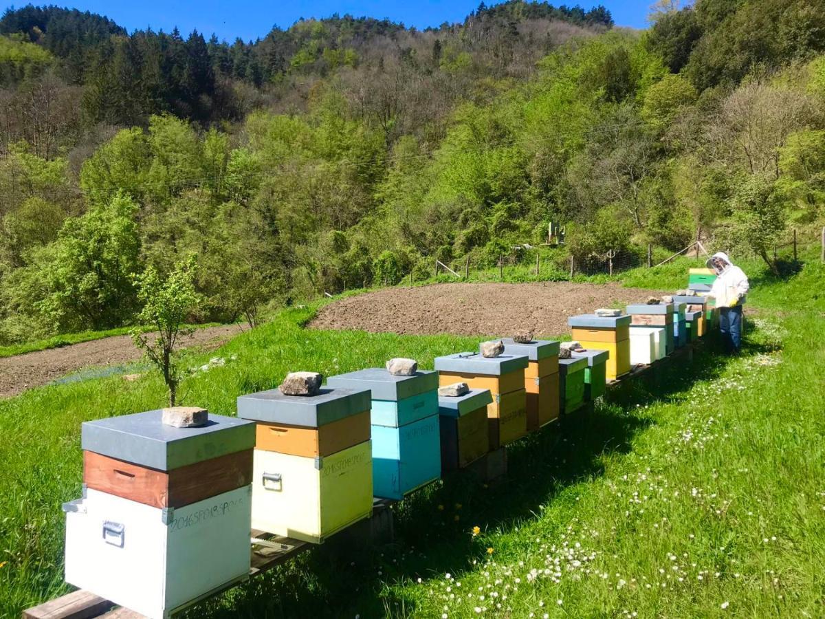 Agriturismo Giandriale Tavarone Kültér fotó