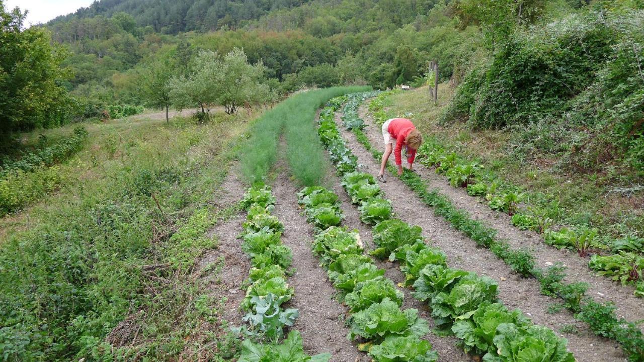 Agriturismo Giandriale Tavarone Kültér fotó