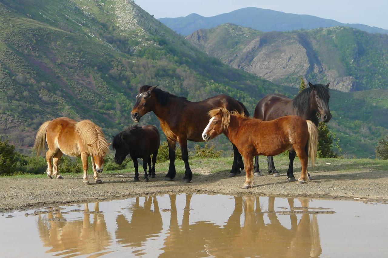 Agriturismo Giandriale Tavarone Kültér fotó