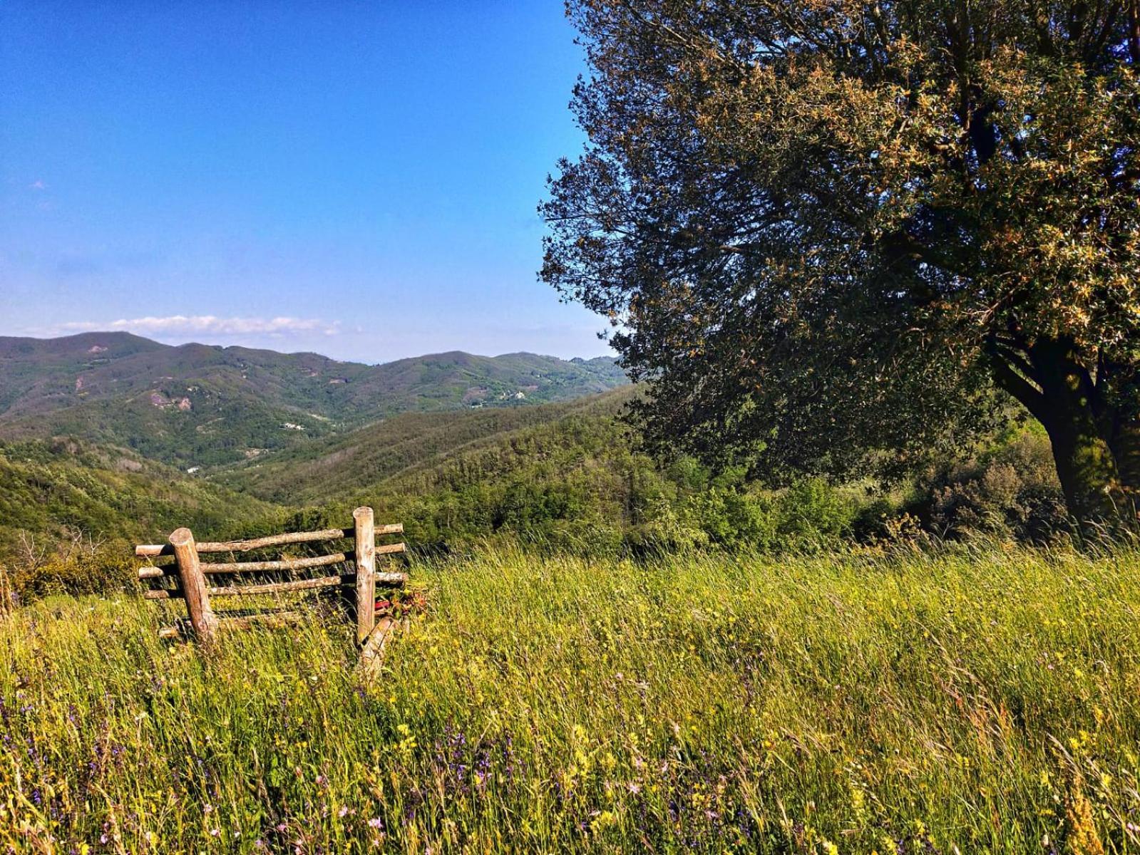 Agriturismo Giandriale Tavarone Kültér fotó